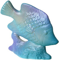 fish picture